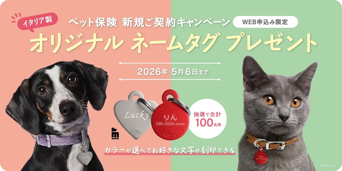 ペット保険新規加入者に抽選で「オリジナルネームタグ」プレゼント！|「げんきナンバーわんスリム」ペット＆ファミリー損保